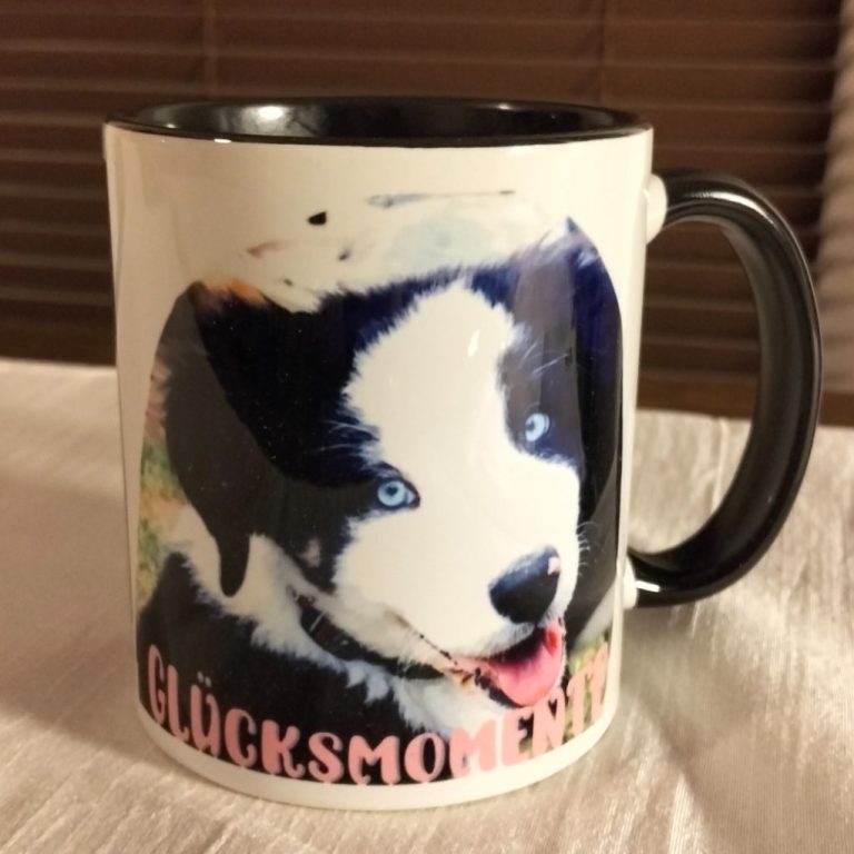 Schwarz-weißer Welpe mit blauen Augen, lächelnd und sitzend.
